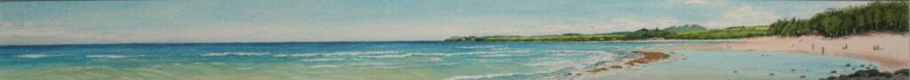 From Baby Beach, 5.5” by 48"